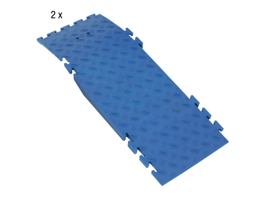 Adam Hall Defender Wheel Chair Ramp Set