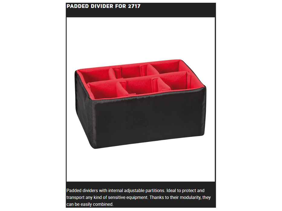 PLASTIC CASES ACCESSORY Padded DIVIDER For 2717