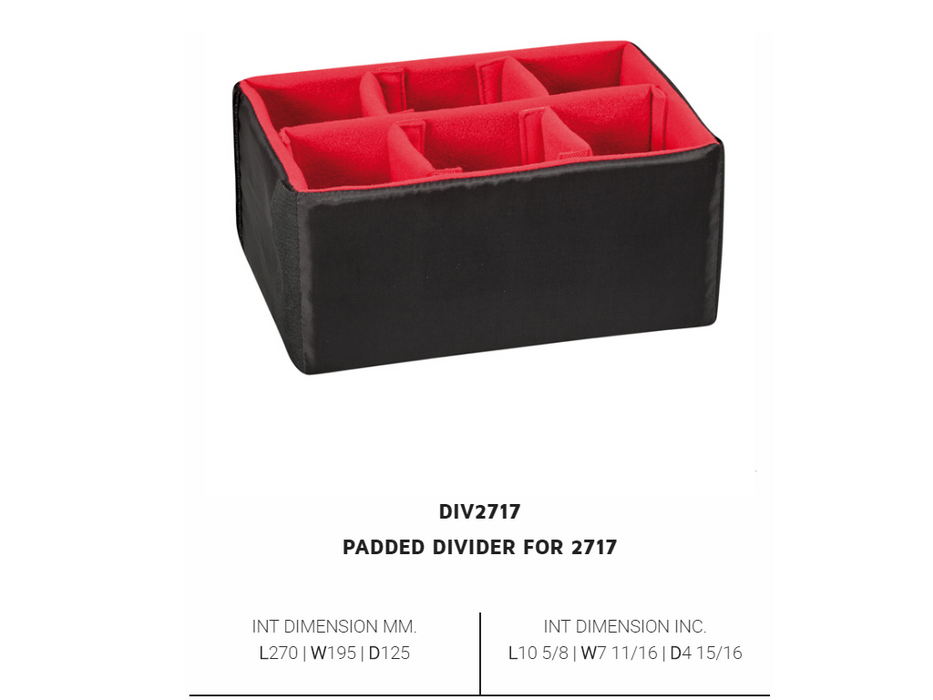 PLASTIC CASES ACCESSORY Padded DIVIDER For 2717