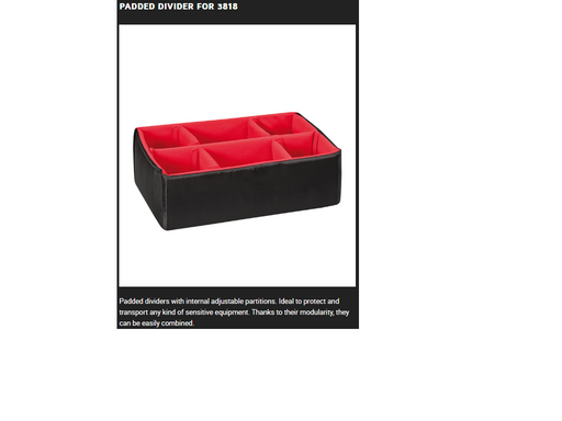 PLASTIC CASES ACCESSORY Padded DIVIDER For 3818