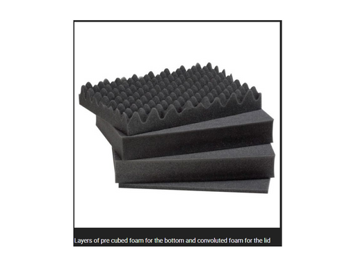 PLASTIC CASES FOAM For Case 3818