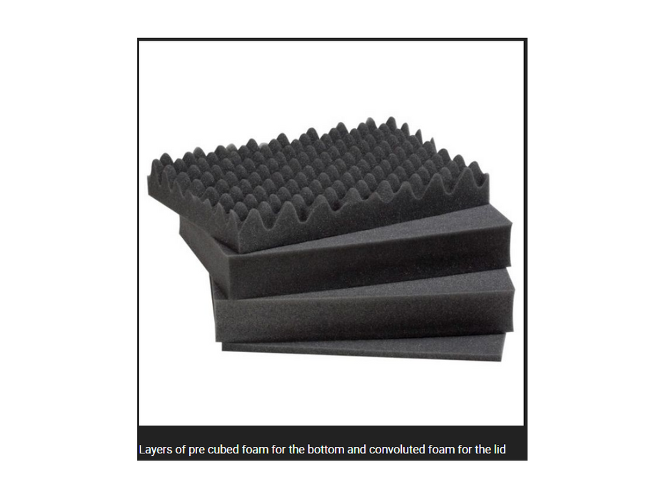 PLASTIC CASES FOAM For Case 3818