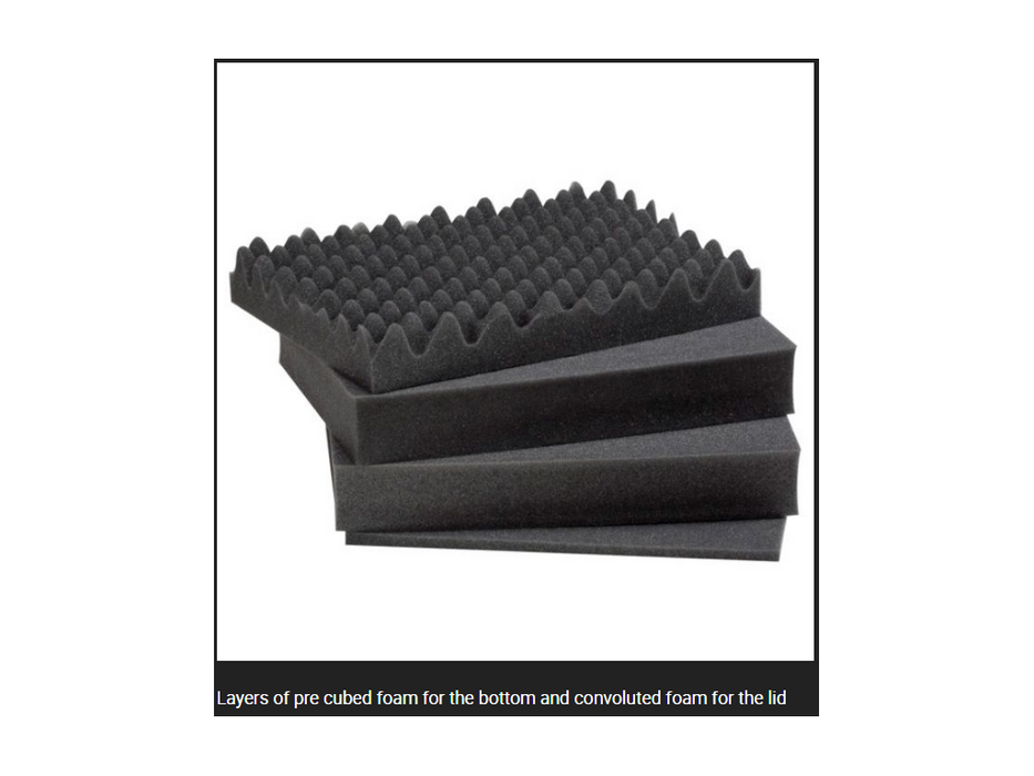 PLASTIC CASES FOAM For Case 4412