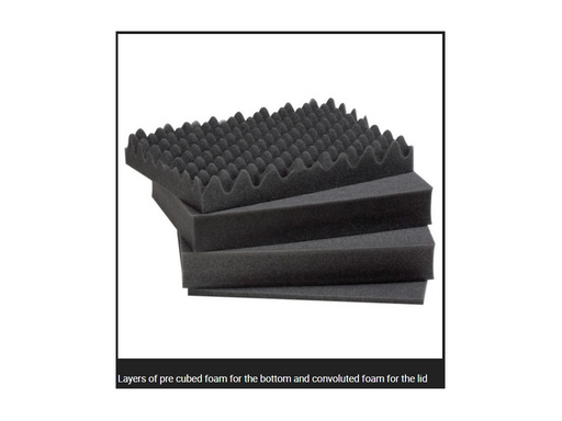 PLASTIC CASES FOAM For Case 4419