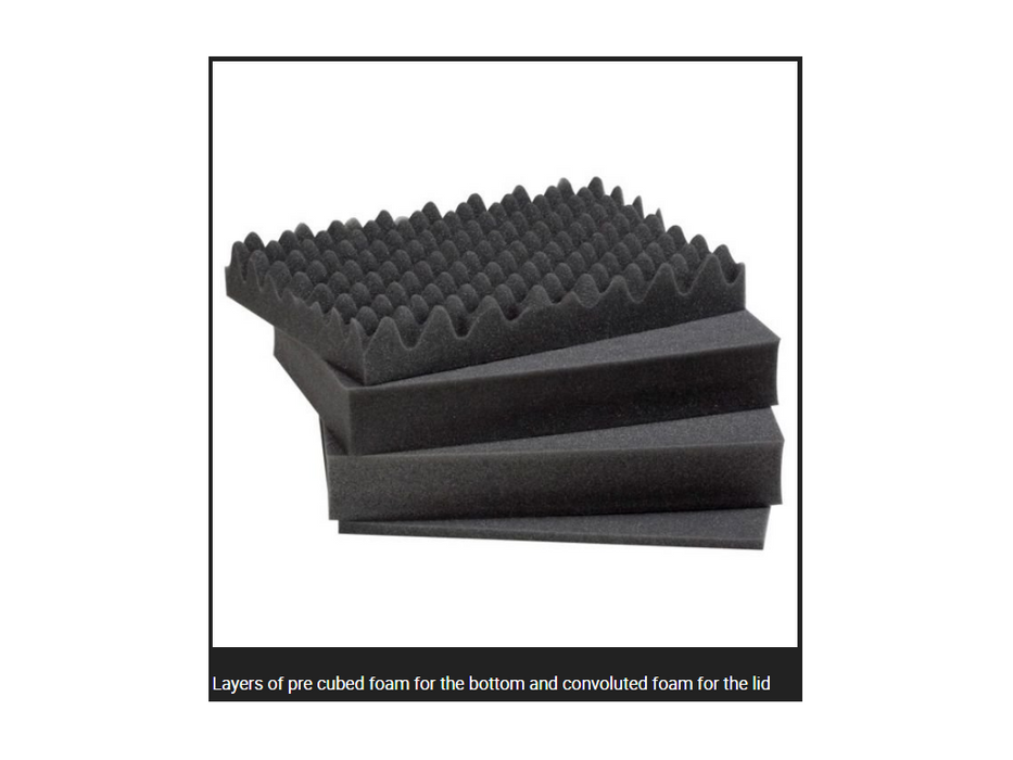 PLASTIC CASES FOAM For Case 4419