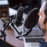 Gravity Pop Filter with VARI®-ARM